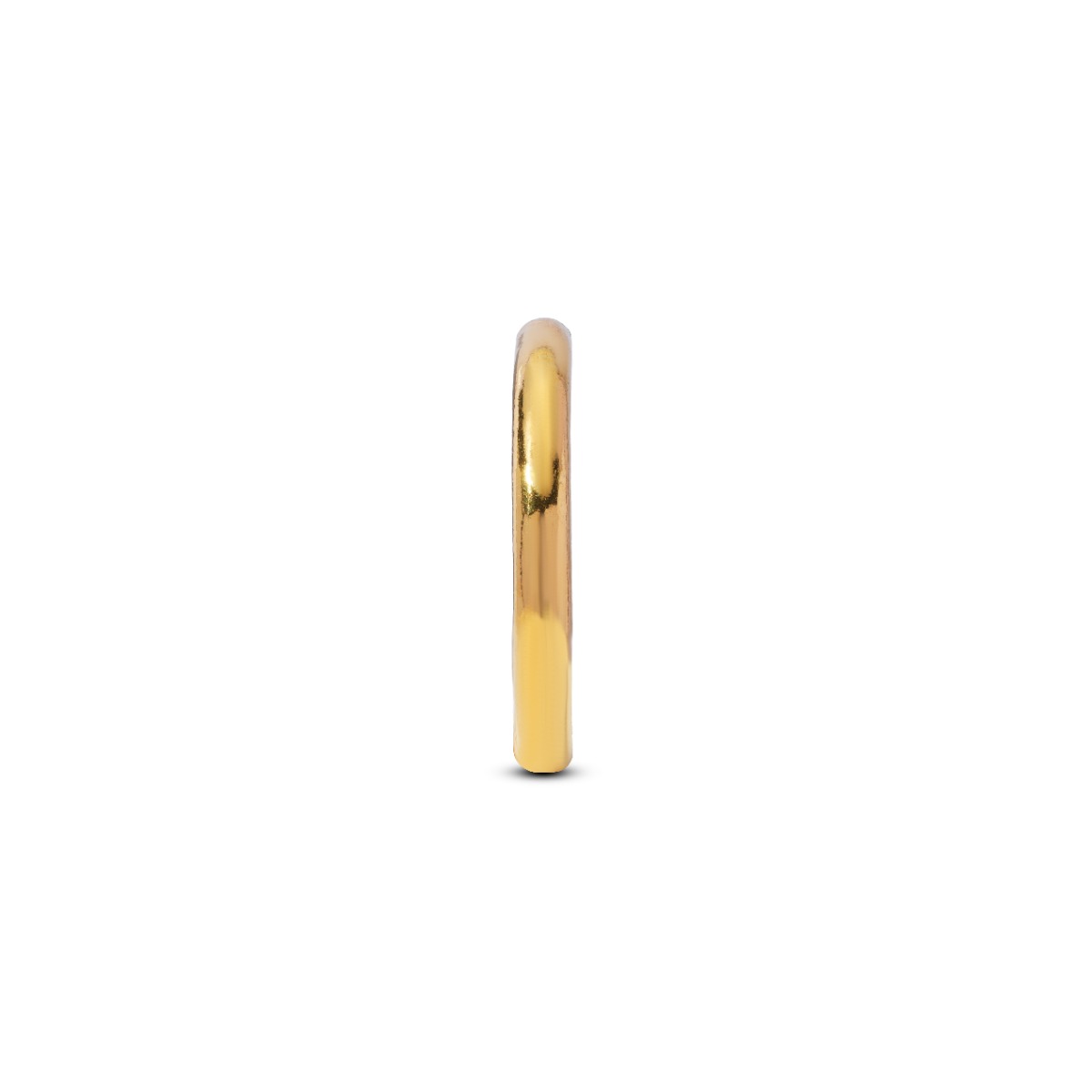 Bông tai vòng tàu vàng 24K PT 24BTV39KD0-206001-0291