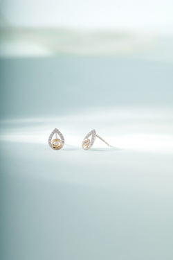 Bông tai BTBTV10CZH-502005